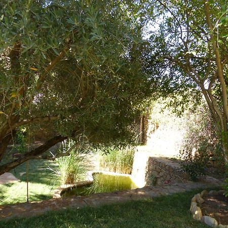Agadir-Taghazout Magnifique Villa Dar Lina 4 Etoiles Zewnętrze zdjęcie